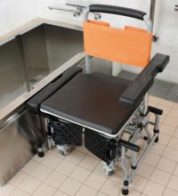 パナソニック 可動式入浴台 アクアムーブ PN-L 14001D 施設向けシャワーキャリー