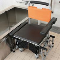 パナソニック 可動式入浴台 アクアムーブ PN-L 14001D 施設向けシャワーキャリー