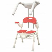 wells シャワー温浴システム HWS110 ケープ付き切替弁タイプ シャワー