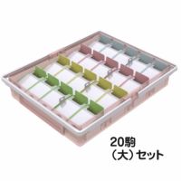 投薬箱 取手付 20コマ（大）セット