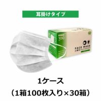 2層マスク（耳掛け）A-502 1ケース（1箱100枚入り×30箱） 立体プリーツ不織布マスク