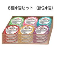 エンジョイ 小さなハイカロリーゼリー いろいろセット 6種4個セット（計24個）