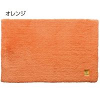 乾度良好 Ag+ 業務用バスマット 病院・介護施設