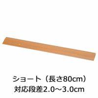 屋内用スロープ 段ない・ス ショート20 樹脂タイプ 幅80cm×高さ2.0cm