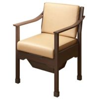 家具調トイレ トワレットチェア(533-062) 抗菌便座 介護 高齢者 ポータブルトイレ 安寿/アロン化成