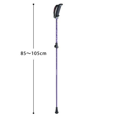 歩ミング APAI-7H204 85~105cm ハングストップ式固定 ノルディック