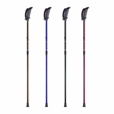 000000019764-01-l.jpg?t=