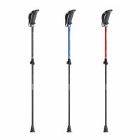 歩ミング スマートポール 2段伸縮モデル APAI-HS202(A・AL) 90~115・100~125cm ノルディック